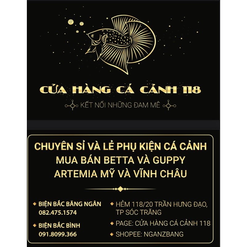 Sứ thanh hoa mai vàng 15x4