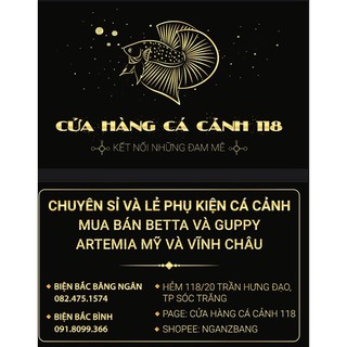 Combo 1, 5, 10 Sứ thanh hoa mai vàng Lớn, Mè Lớn 15x4