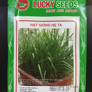 Hạt giống lá hẹ ta - 10g