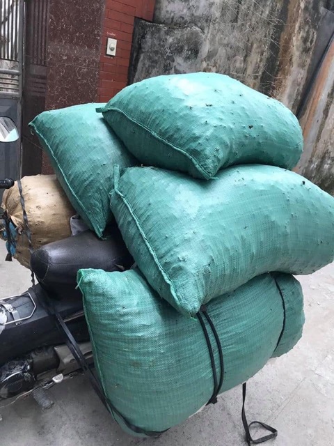 1kg Bồ kết ré khô hàng chuẩn ko vụn | BigBuy360 - bigbuy360.vn