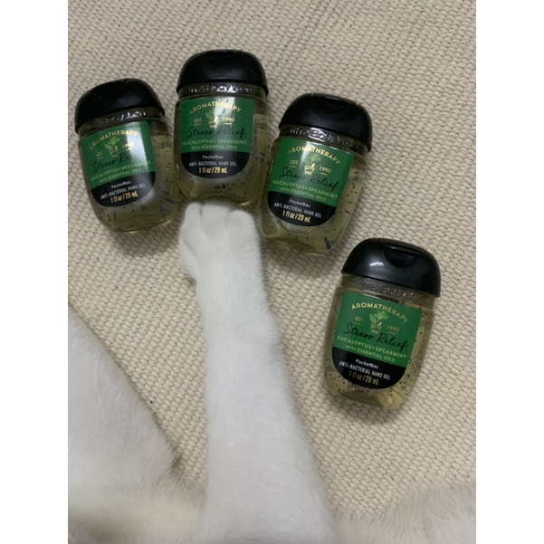 Gel/ nước rửa tay khô Bath and Body Works (nhiều mùi) | BigBuy360 - bigbuy360.vn