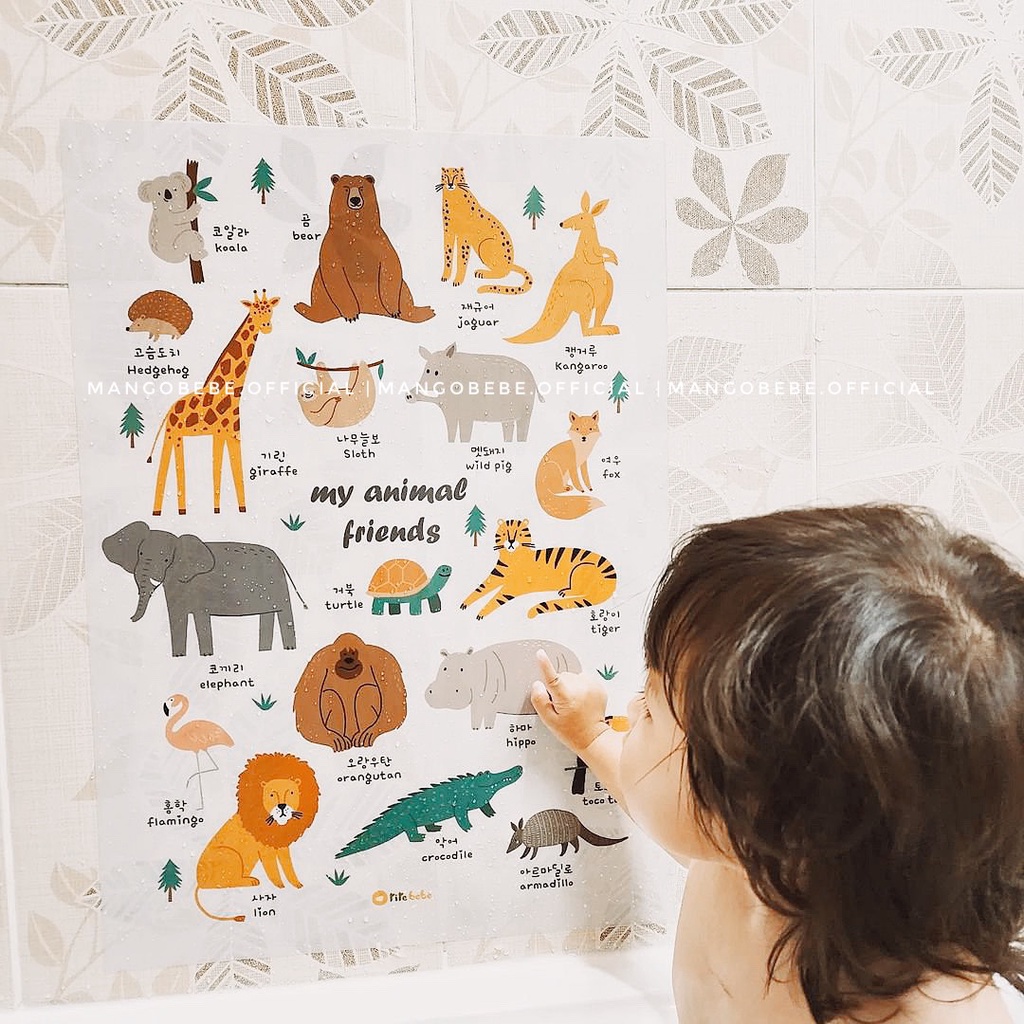 Bảng giáo dục treo tường Rirebebe Hàn Quốc