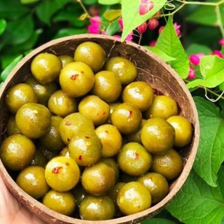 500GRAM Ô MAI SẤU BAO TỬ GIÒN CAY [Loại Đặc Biệt] Hàng ngon nhà làm