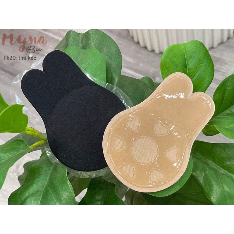 Dán kéo nâng ngưc tai thỏ tini: pk20