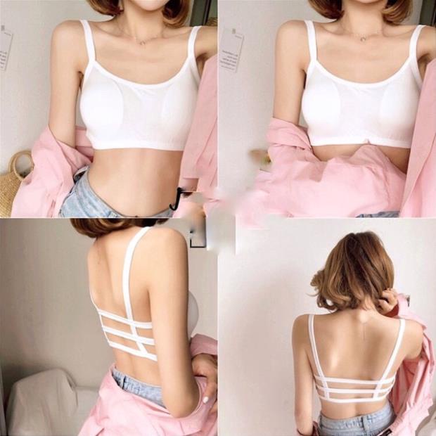 [Giá sỉ] Áo Bra 3 Dây Thun Cotton Có Đệm Ngực
