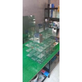 Bể Cá Betta, Guppy