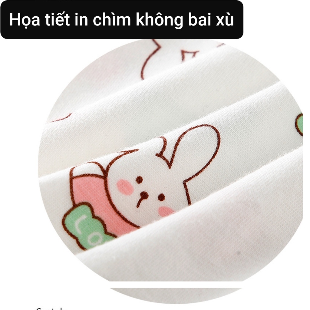Sét 3 quần chip bé gái hoạ tiết Thỏ Xanh quần lót cotton kháng khuẩn cho học sinh từ 9-46kg