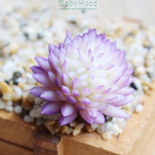 Chậu cây sen đá giả mini trang trí văn phòng
