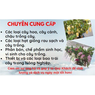 CHẾ PHẨM VI SINH P-GRO (ĐẬU TƯƠNG,Na2Co3,Lactobacillus Fermentum) hàng nhập khẩu và phân phối chính hãng.