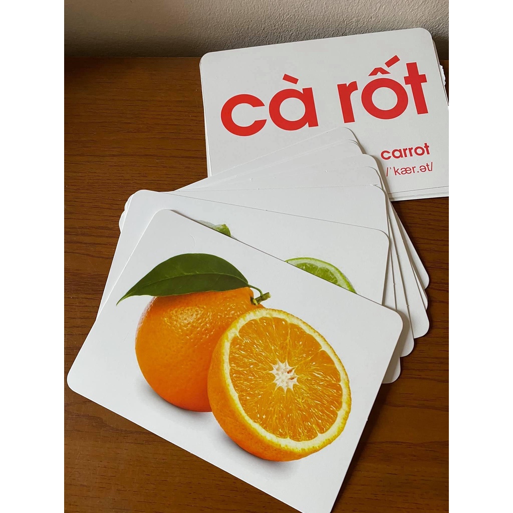 Thẻ học A5 ép Plastic,Ko THẤM NƯỚC, siêu BỀN ĐẸP, dạy bé nhận biết TGXQ