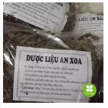 1KG Cây An Xoa khắc chế các bệnh về gan, làm mát gan, thanh nhiệt cơ thể OLF009