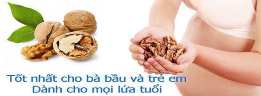 Óc chó Hartley Mỹ