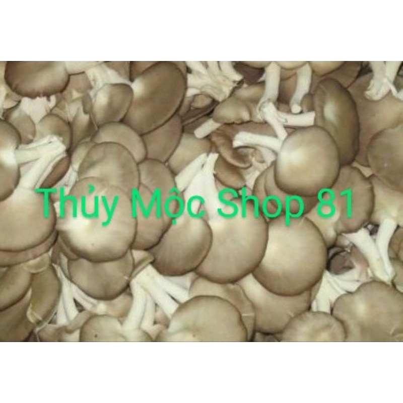 LÁ É TƯƠI PHÚ YÊN💥"COMBO NGUYÊN LIỆU LẨU GÀ LÁ É" : LÁ É TƯƠI, MĂNG CỦ LUỘC, NẤM BÀO NGƯ, ỚT XIÊM XANH, BÚN TƯƠI