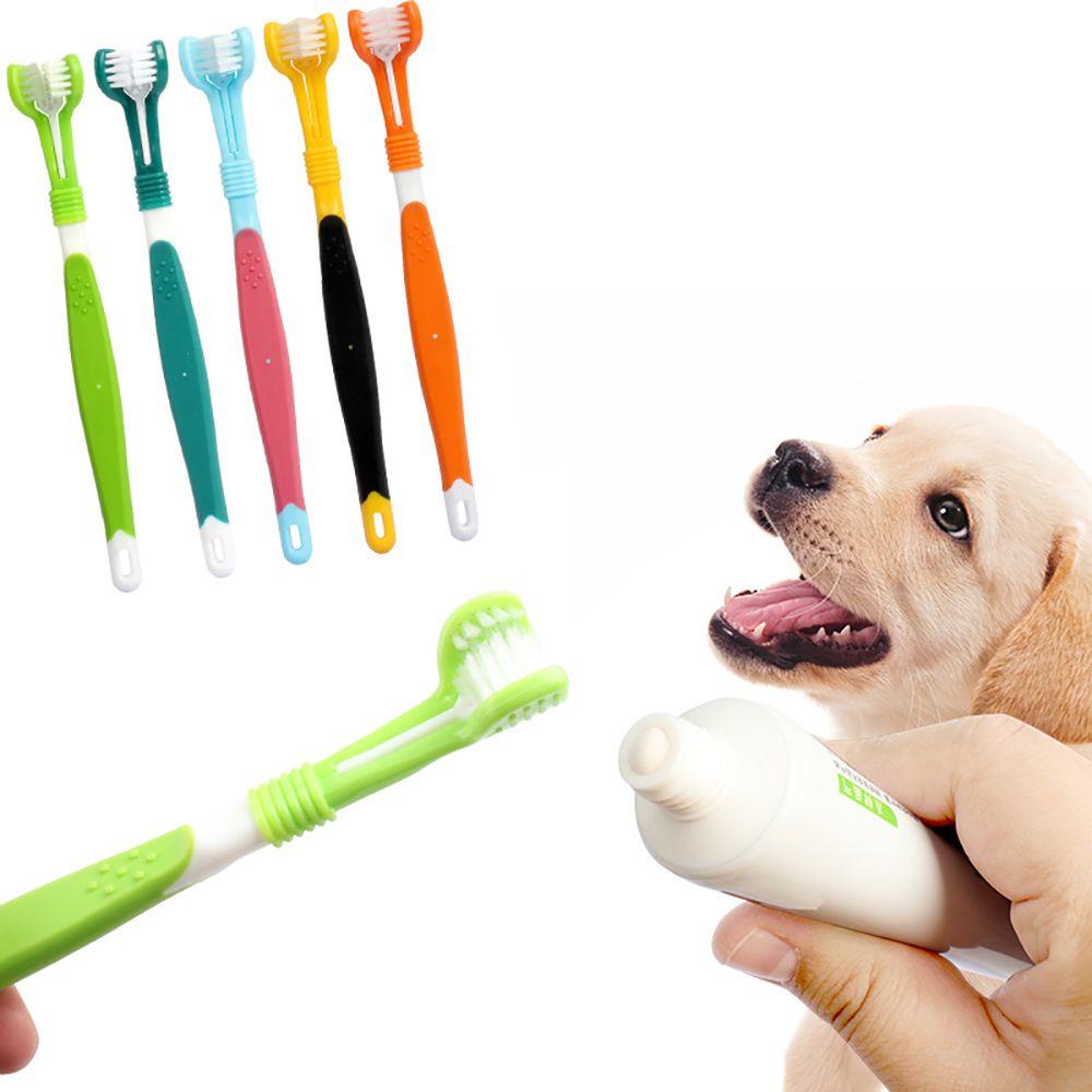 1 Bàn Chải Đánh Răng Với Tay Cầm Bảo Vệ Răng Miệng Ba Đầu Chăm Sóc Răng Miệng Cho Chó