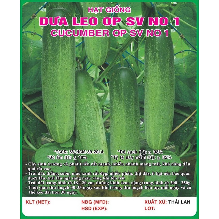 Hạt giống dưa leo quả to và dài VTS156 | Vạn Tín Store
