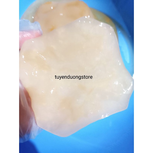 Giấm Nuôi + con Giấm