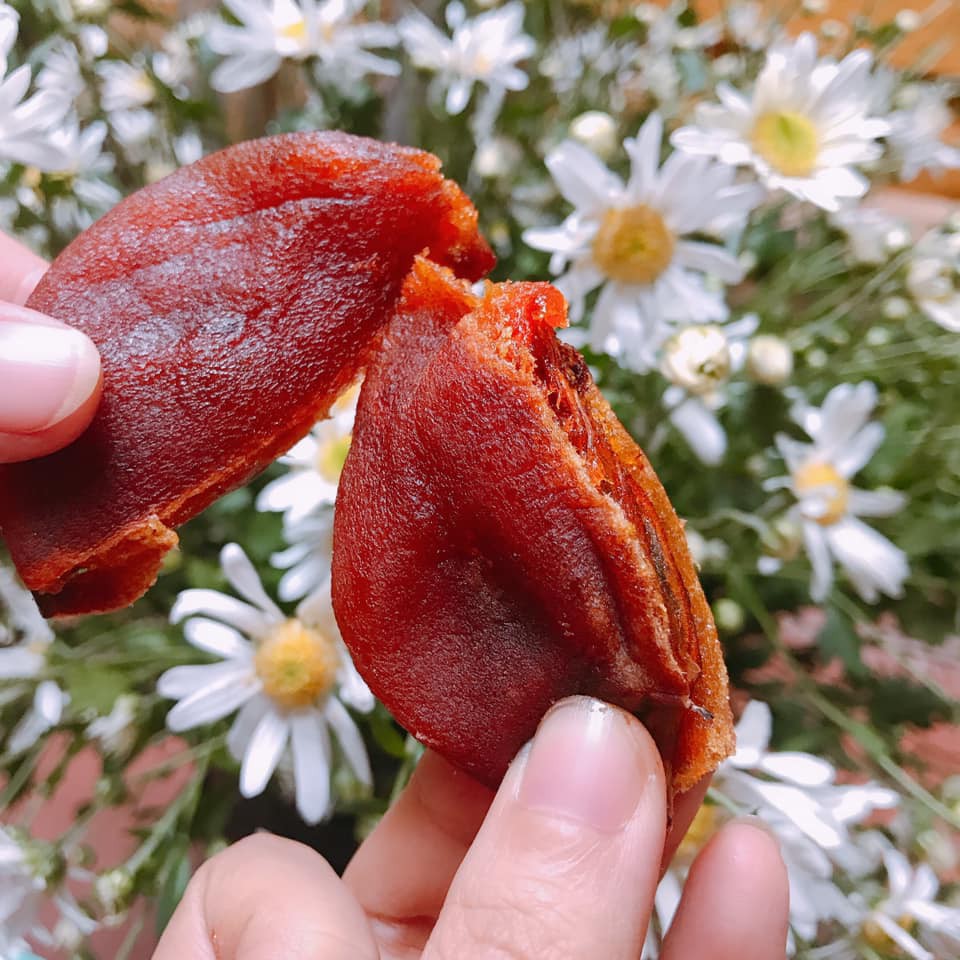 [Mã GROSALE2703 giảm 8% đơn 250K] Hồng sấy dẻo 500g, hồng sấy gió tinh hoa đặc sản Đà Lạt loại VIP hoàn toàn khác biệt | BigBuy360 - bigbuy360.vn