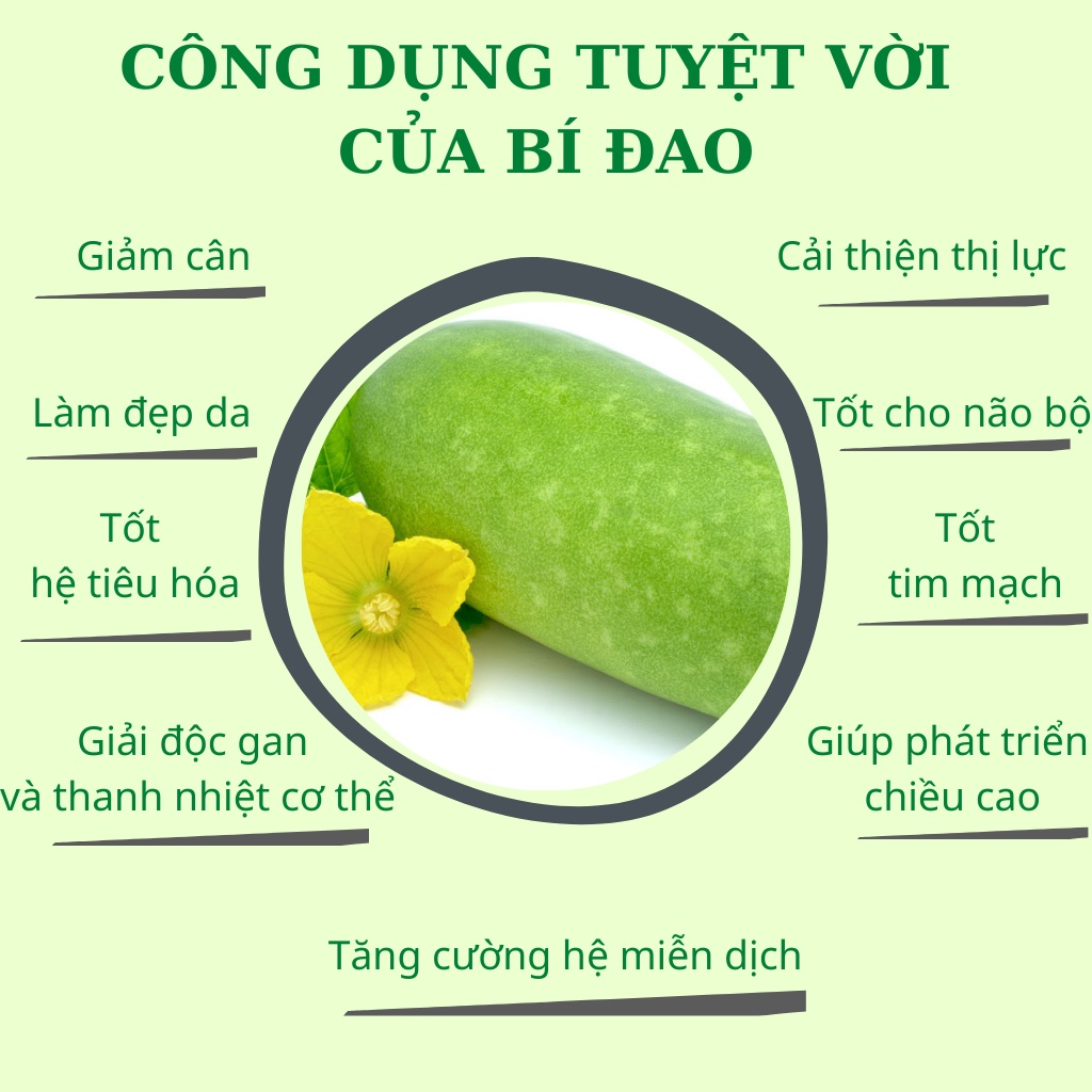 Bí đao thái lát sấy lạnh Robi Mart gói 100g - Giảm cân thanh nhiệt đẹp da