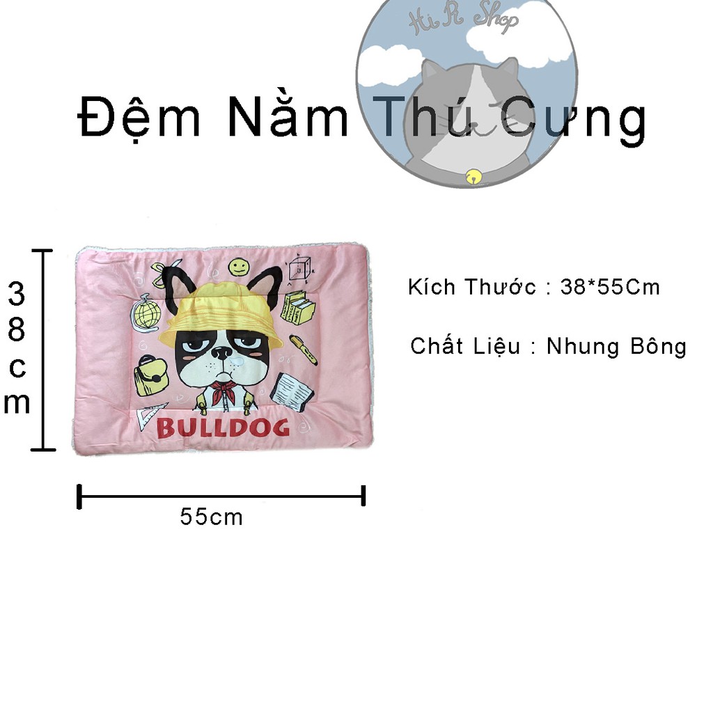 Đệm Nằm Chó Mèo Chất Liệu Nhung Có Lót Bông Mềm Mịn Kích Thước 38*55Cm Dành Cho Thú Cưng Nhiều Mẫu