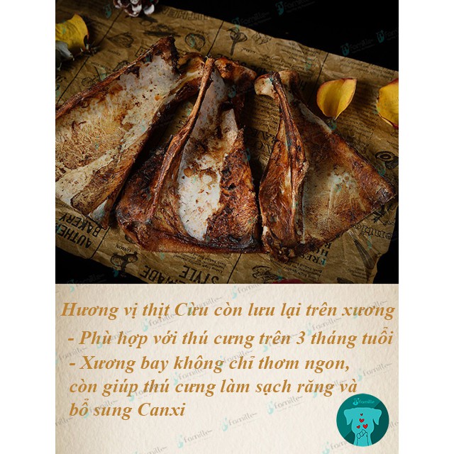 Xương Gặm Mài Răng Cho Chó JFamille, Xương Bay Cho Chó, Pet Snack Bổ Sung Canxi, Dinh Dưỡng - JF38