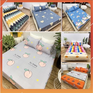 Ga gối cotton poly sét 3 món - drap trải giường