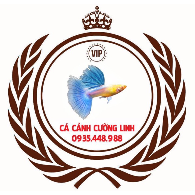 CÁ CẢNH CƯỜNG LINH