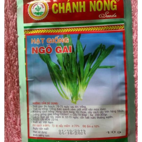 Hạt giống ngò gai