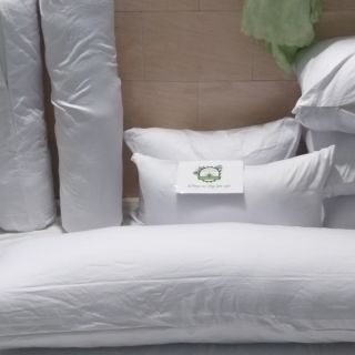 Combo 2 ruột gối 37x107