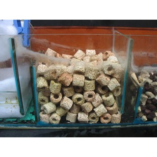 🐬 200gram sứ lọc cho hồ cá , bể cá