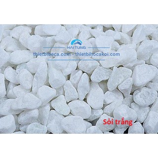 Sỏi trang trí bể cá, gốc cây sân vườn