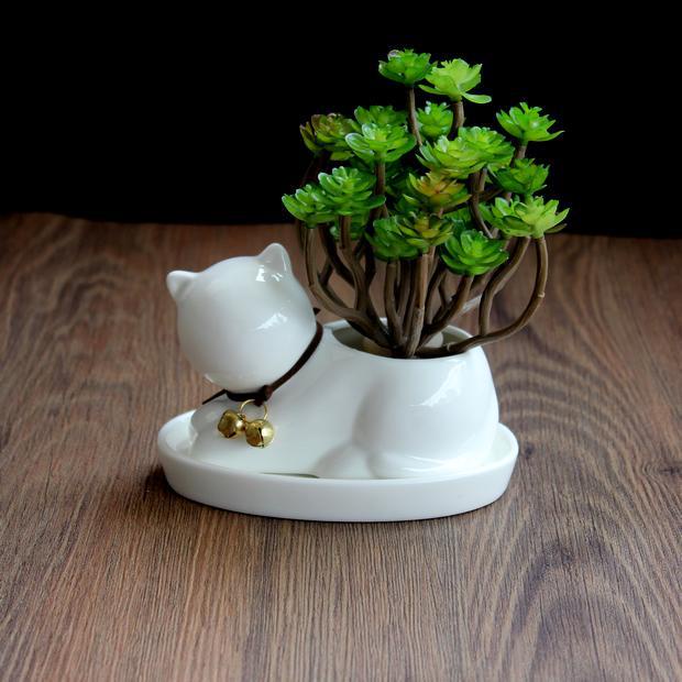 Chậu Trồng Cây Sen Đá, Xương Rồng Hình Mèo Sứ Cao Cấp Có Đế Lỗ Thoát Nước