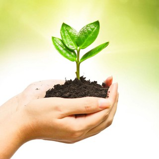 Vật Tư Nông Nghiệp BTL