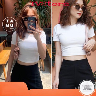 [FREESHIP] Áo croptop ôm body 🔥  áo croptop thun gân, áo croptop nữ nhiều màu