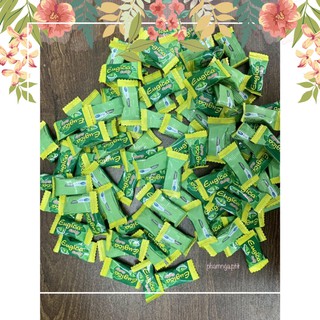 [DEAL 1K] Kẹo ngậm thảo dược Eugica Candy (1 viên) sonluc228