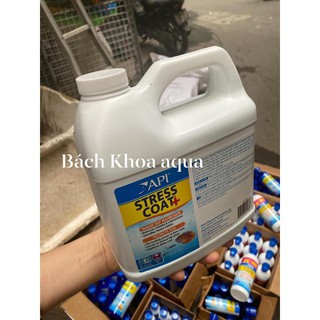 API Stress Coat - Thần dược dành cho cá cảnh