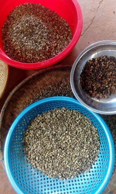 CÀ PHÊ MIX  ĐẶC  BIÊT MIKA (500gr) | BigBuy360 - bigbuy360.vn
