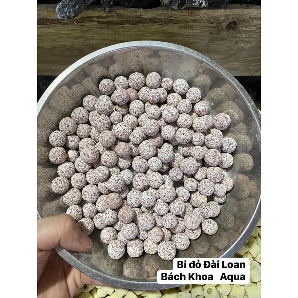Bi đen Đài Loan 100/1kg Bachkhoaqua
