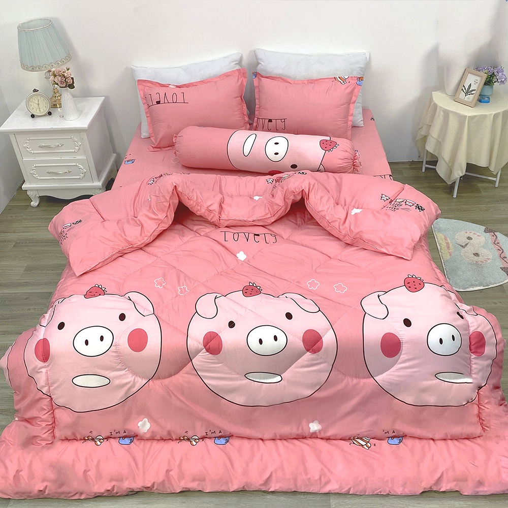 Chăn Bông Siêu Nhẹ Sét 5 Món Chăn ga gối - Kích thước M2/M6/M8/2M2