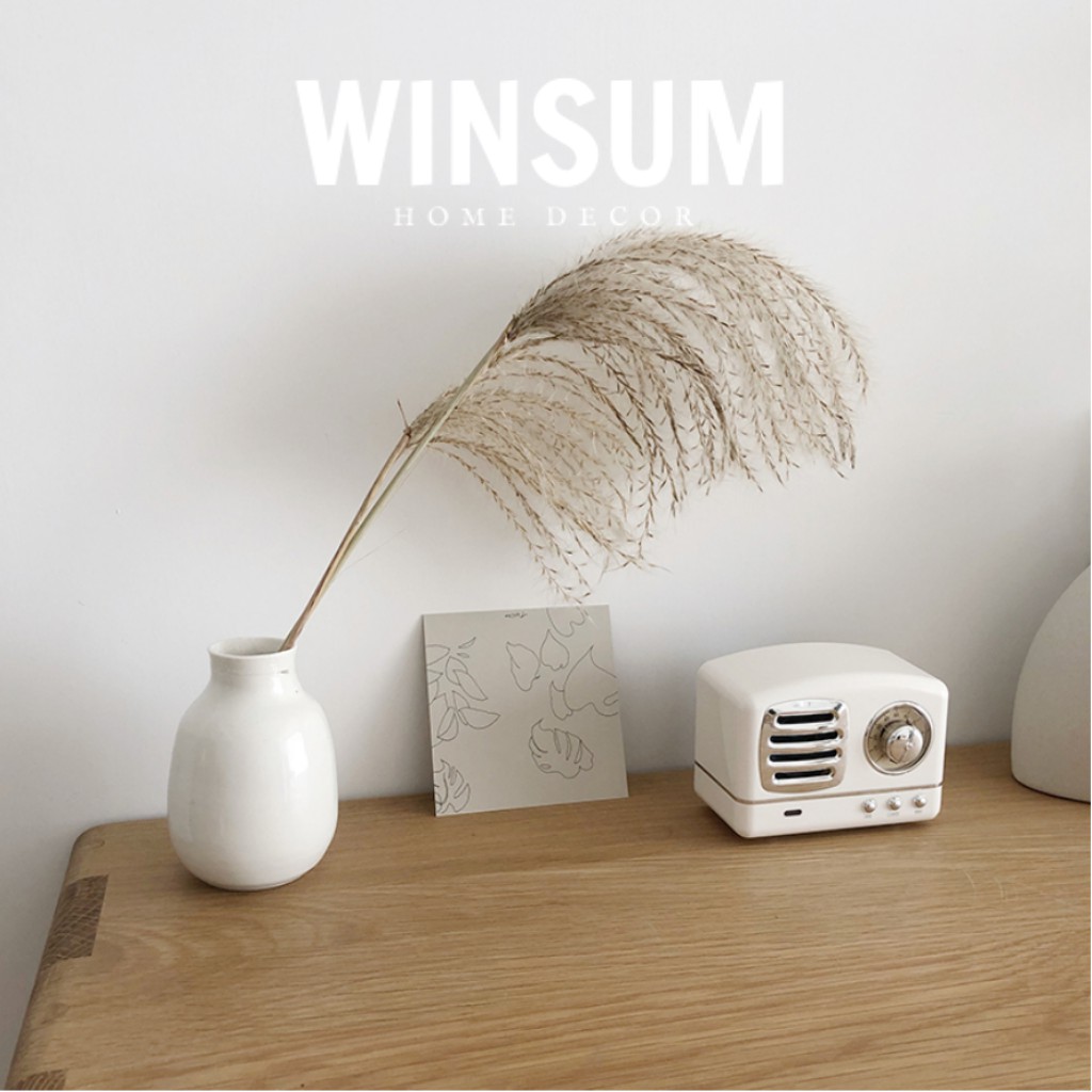 Loa Bluetooth Vintage Nghe Nhạc So Chill  - Winsum.decor