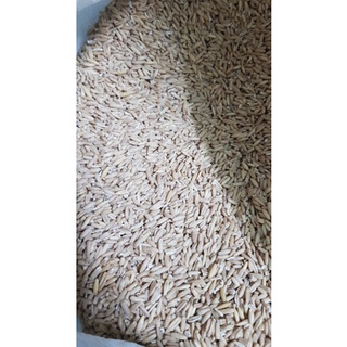 Yến mạch tách vỏ đóng gói 500g - 1kg