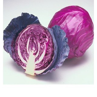 Hạt giống rau Bắp Cải Tím Salad giòn ngọt nhập Nguyên gói Thái Lan (Red Cabbage)