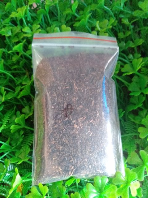 20 MÓN TỰ CHỌN THEO SỞ THÍCH