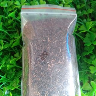 20 MÓN TỰ CHỌN THEO SỞ THÍCH { 50G}