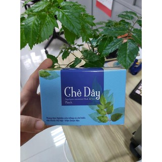 Chè dây/ Trà Dây - Hộp túi lọc - Viện Dược Liệu