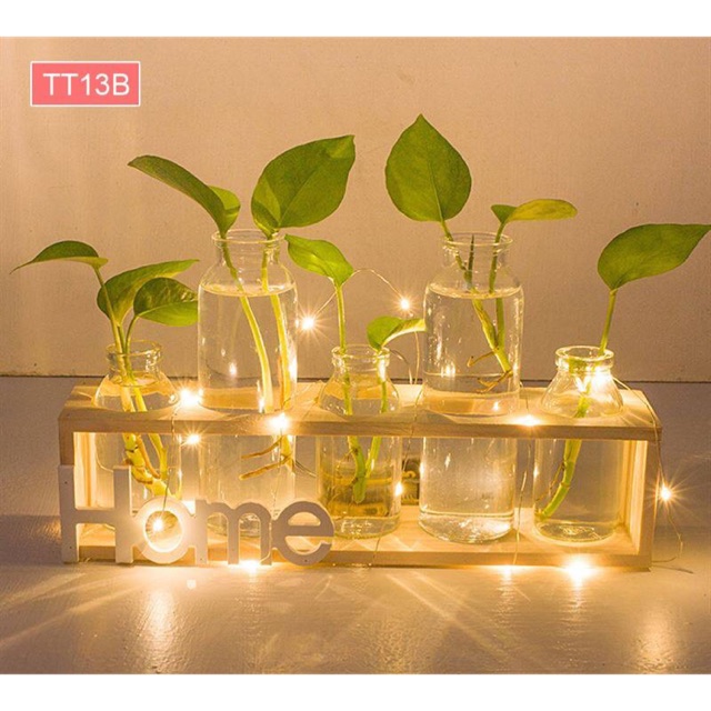Set 5 lọ hoa