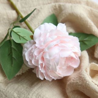 Bó hoa hồng bé