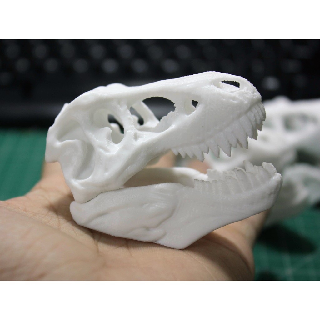 Mô hình đầu lâu khủng long bạo chúa, xương khủng long,Tyrannosaurus rex  trang trí chuồng bò sát, halloween, kinh
