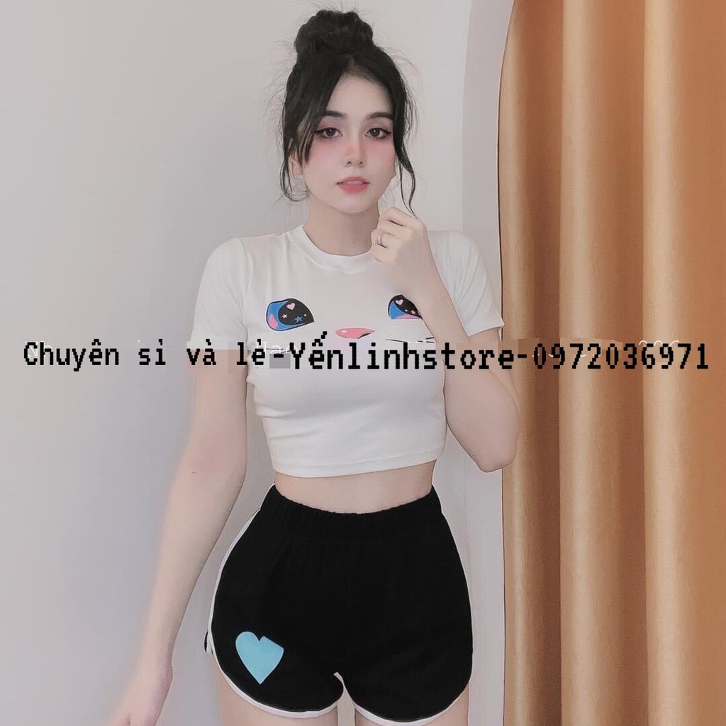 Set bộ áo croptop quần đùi mèo ba màu xinh xắn YenLinhStore S018