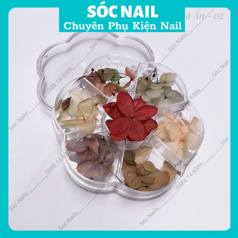 Hoa Khô Lụa Ẩn Móng Gel Nail Giá Rẻ,Hoa Trang Trí Móng Hàn Quốc 7 Màu