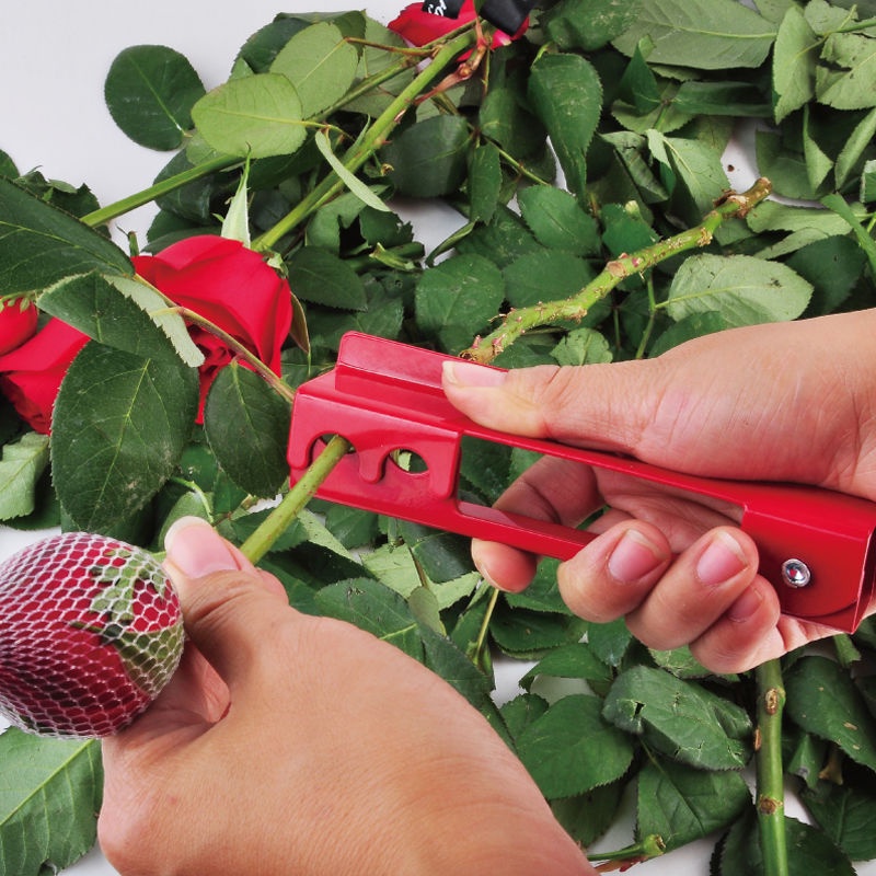 Bộ Dụng Cụ Gồm Kìm + Kìm + Dụng Cụ Cắt Lỗ Thủng Lỗ Xỏ Đinh Hoa Hồng Dành Cho Cửa Hàng Hàng Tháng Dùng Chăm Sóc Bé